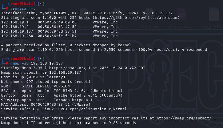 image-20251026160505705